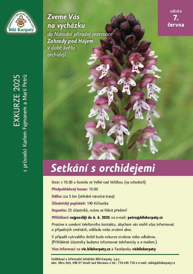 Orchidej